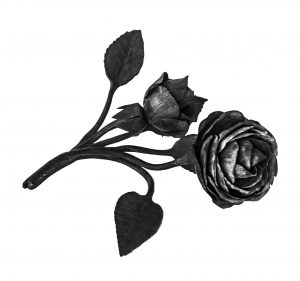Lithgow Black Rose