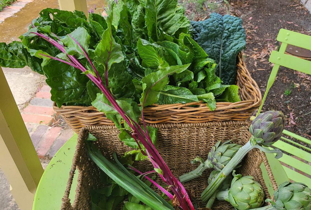 Market Harvest Day, produce from Mary’s Garden