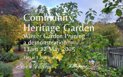 Winter Pruning